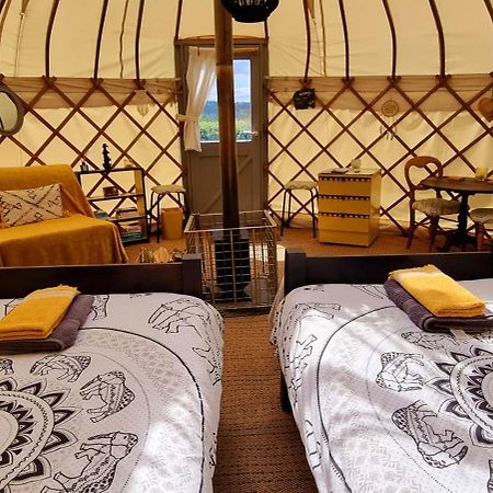 Bronfelen Yurt Otel Cynghordy Dış mekan fotoğraf