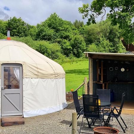 Bronfelen Yurt Otel Cynghordy Dış mekan fotoğraf