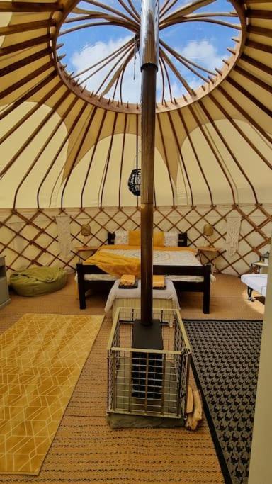 Bronfelen Yurt Otel Cynghordy Dış mekan fotoğraf