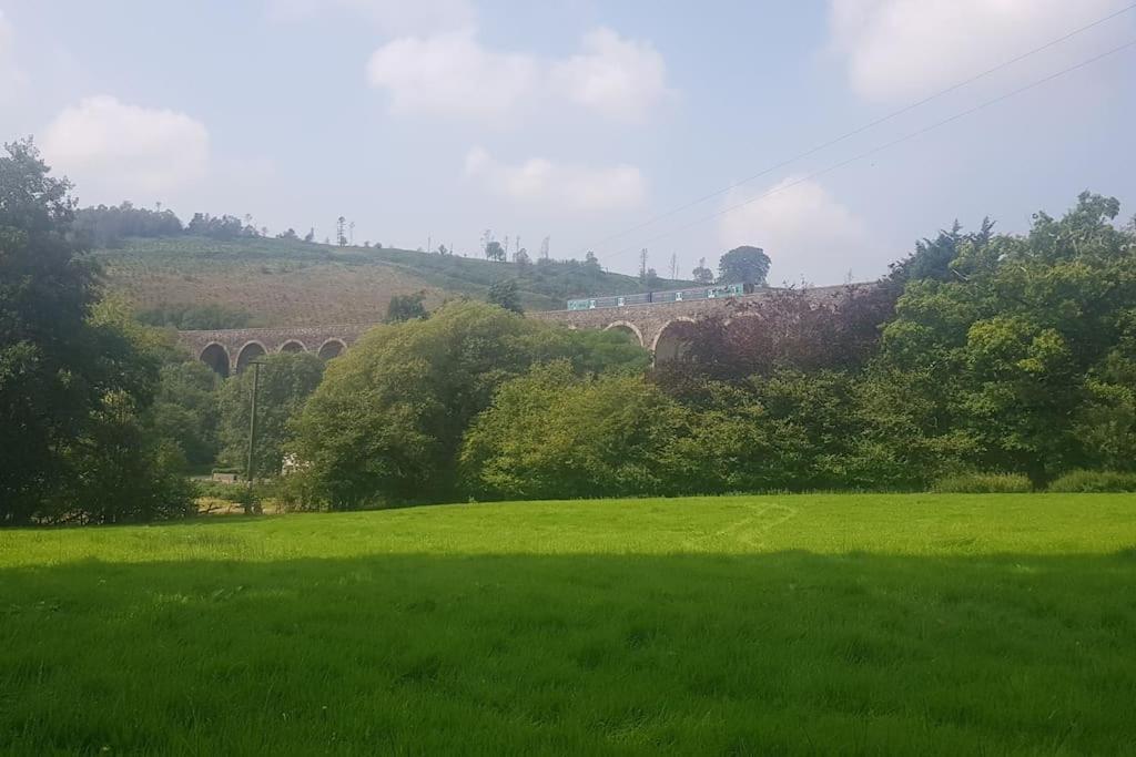 Bronfelen Yurt Otel Cynghordy Dış mekan fotoğraf