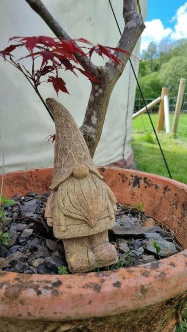 Bronfelen Yurt Otel Cynghordy Dış mekan fotoğraf