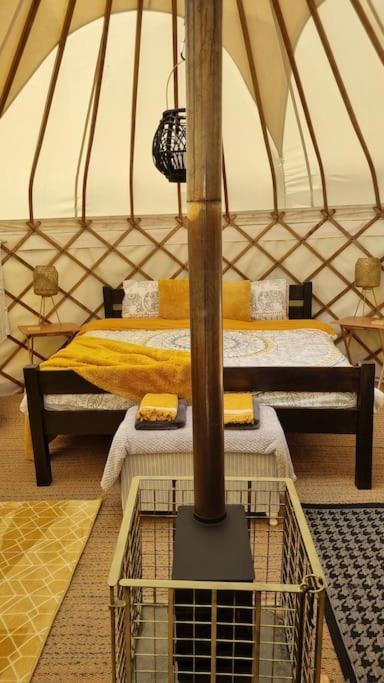 Bronfelen Yurt Otel Cynghordy Dış mekan fotoğraf