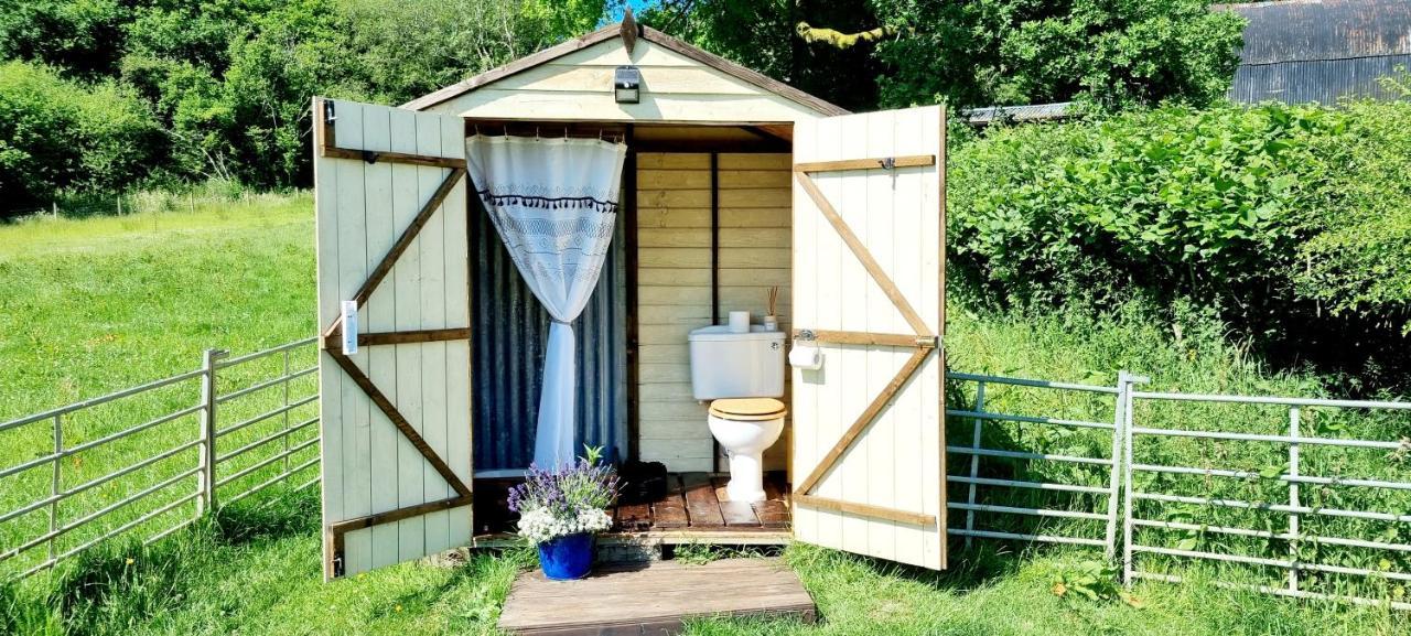 Bronfelen Yurt Otel Cynghordy Dış mekan fotoğraf