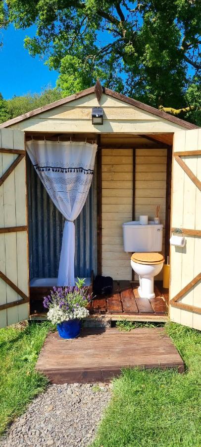 Bronfelen Yurt Otel Cynghordy Dış mekan fotoğraf